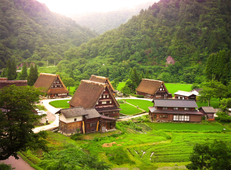 白川乡合掌村（980）