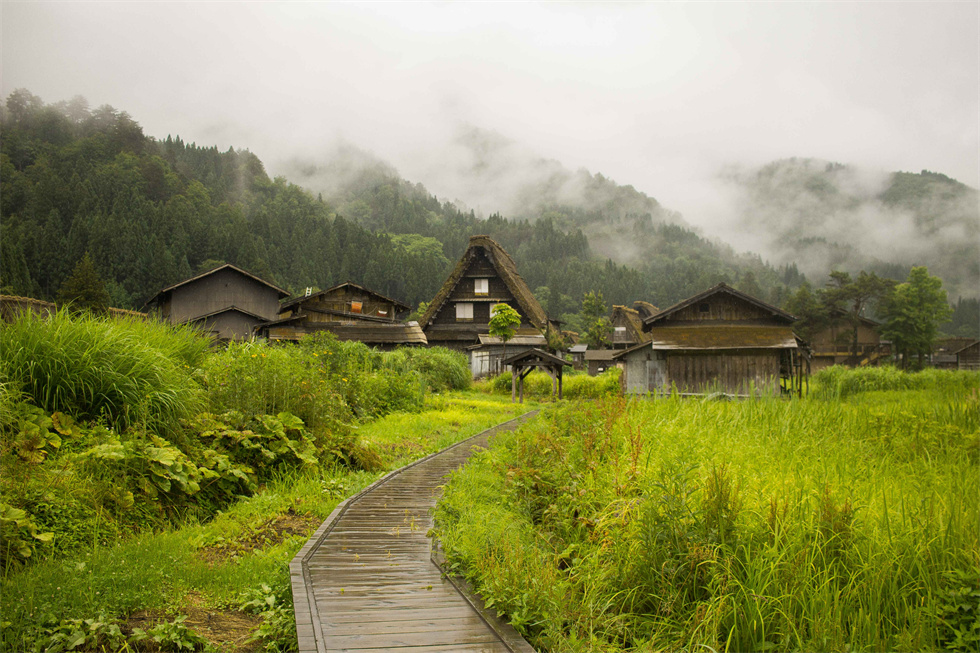 白川乡合掌村（980）