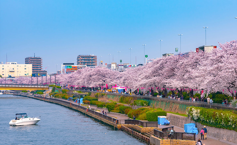 隅田公园