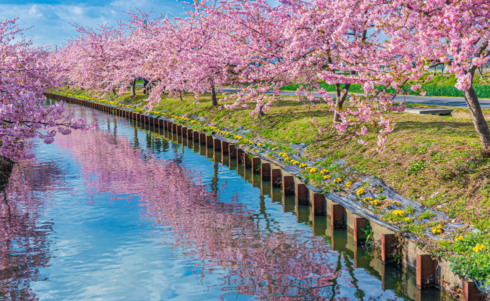 河津町