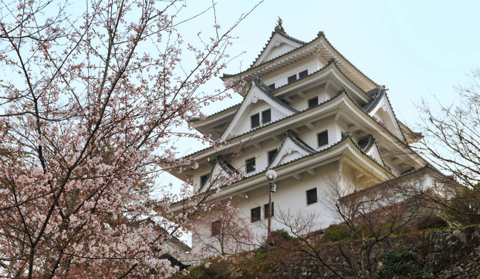 郡上八幡城