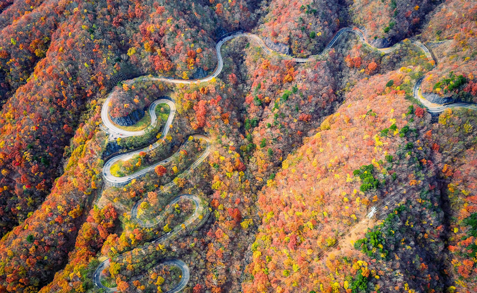 伊吕波山道