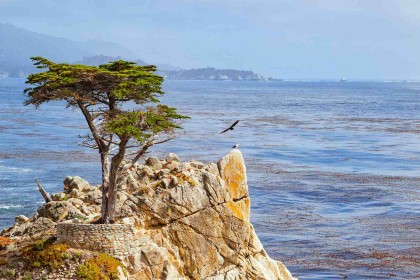 17-Mile Drive12